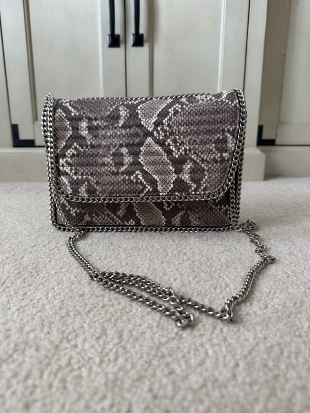 Express Snake-Print Crossbody in Taupe and Silver Chain